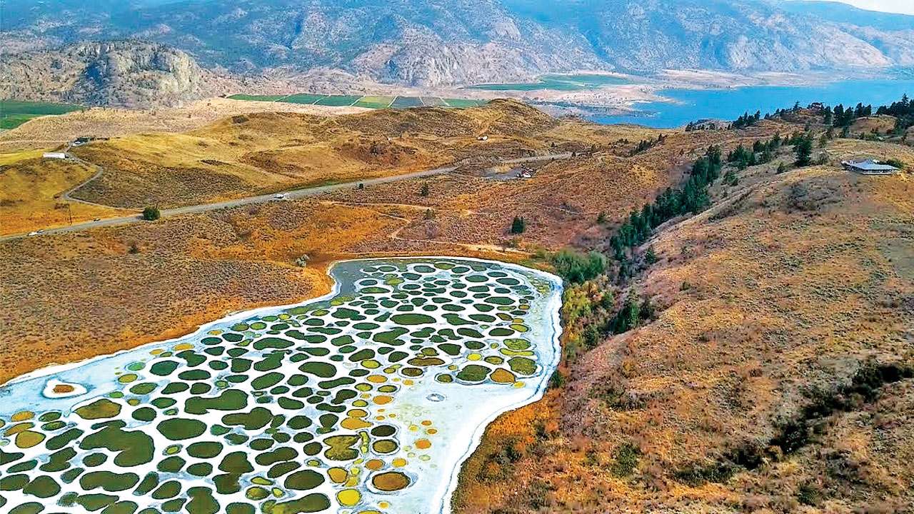 A Feast for The Eyes – The Spotted Lake - GHAWYY